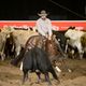 Local trainer with hard-earned win at the Calgary Stampede Cutting Horse Futurity, presented by Wrangler.   
