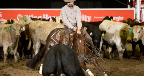 Open Futurity 2016 - Dustin Gonnet 