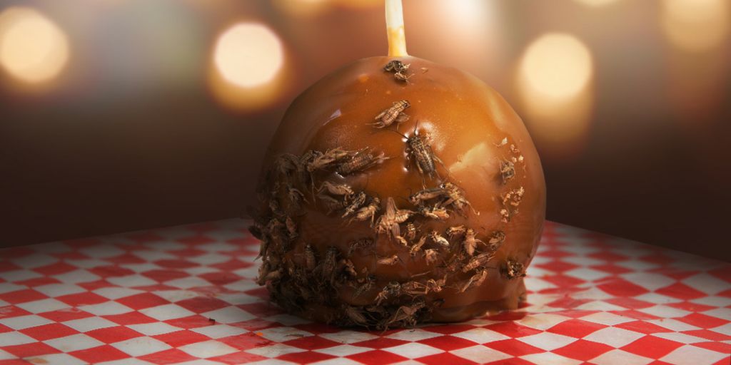 Cricket caramel apple