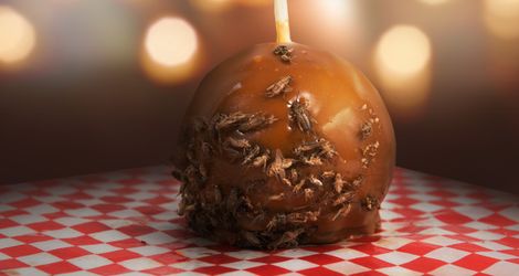 Cricket caramel apple