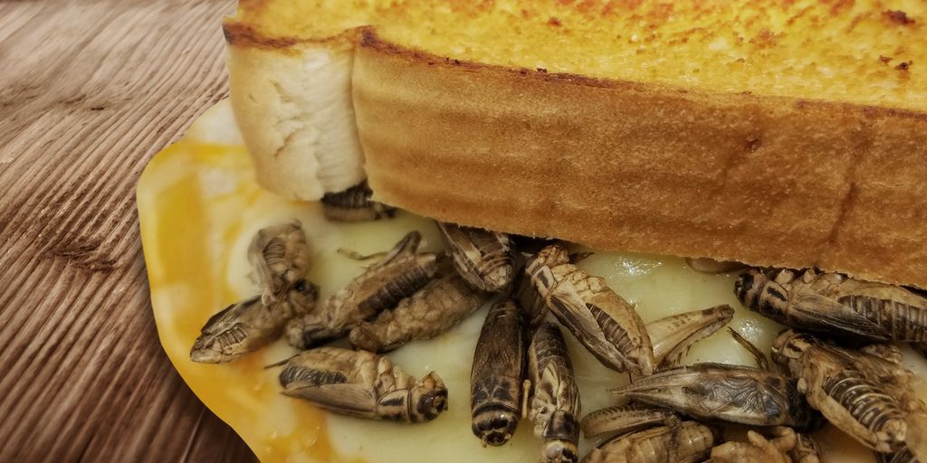 Criket Grilled Cheese