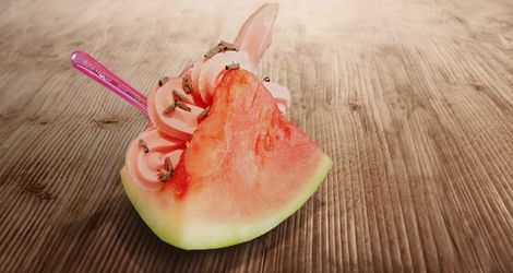 Wat-A-Melon