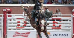 CS2018_Day1_0688-2 CS2018_Day1_0688-2