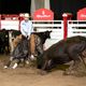 Twice is Rice – Husband and wife duo find success at NCHA event at the Calgary Stampede 