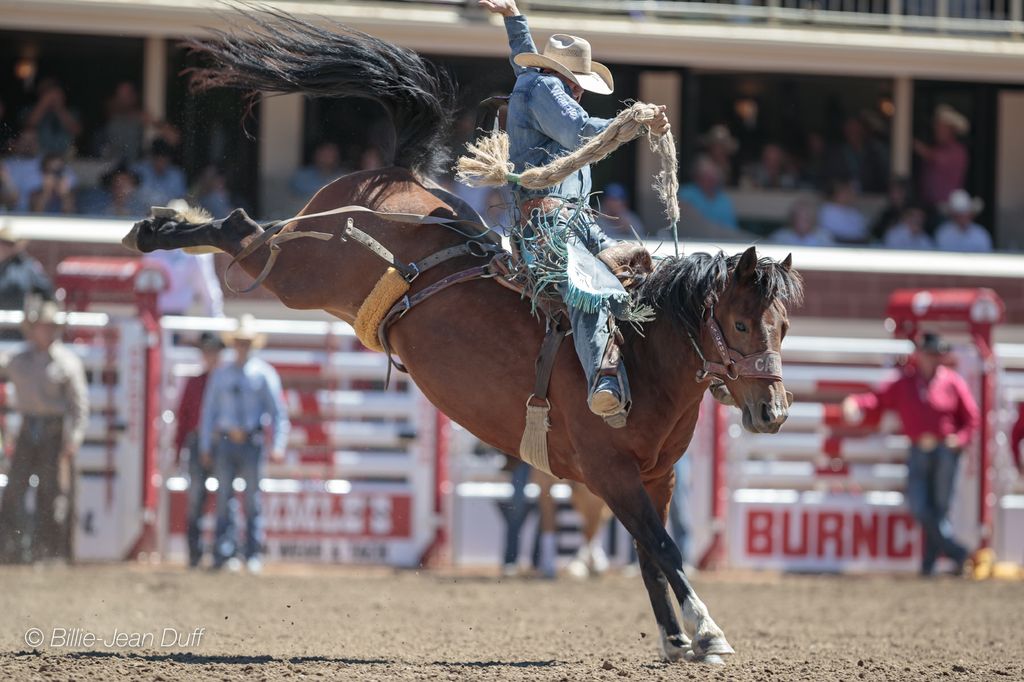 Diaz powers through pain to join winners of day two rodeo action at the