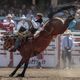 Alberta cowboys return to rodeo in fine form for day three of Calgary Stampede Rodeo action  