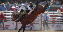CS2018_Day3_2053 Jake Vold bareback riding CS2018_Day3_2053 Jake Vold bareback riding
