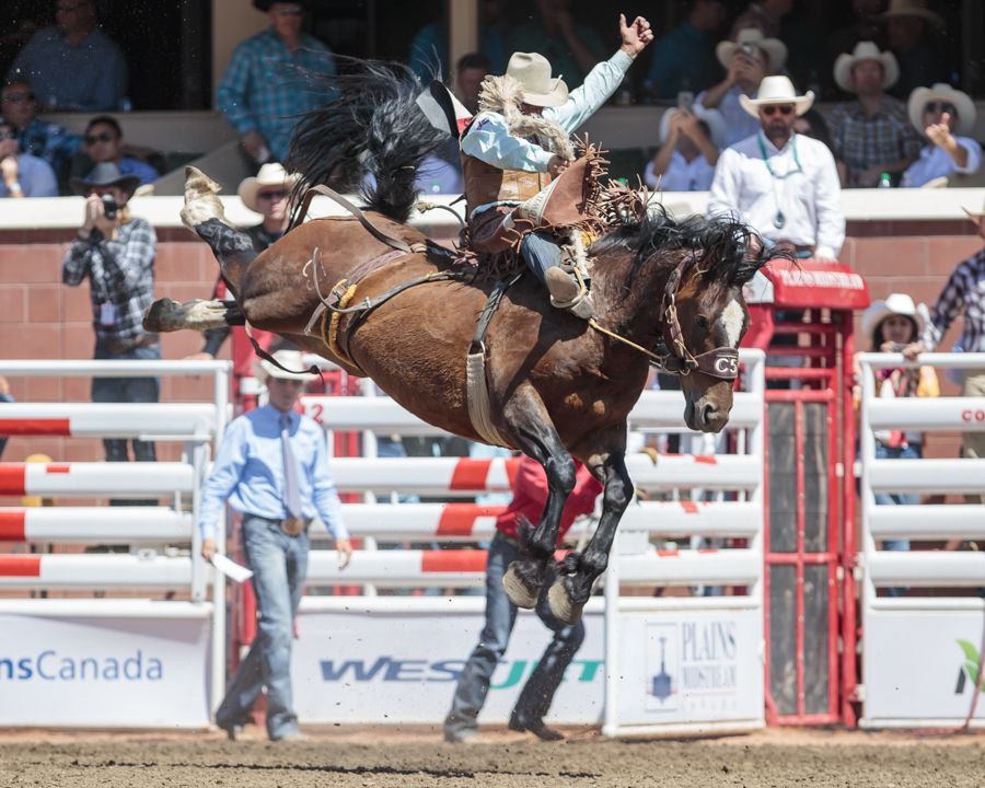 CS2018_Day4_0792 Cody DeMoss