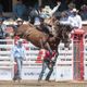 Rodeo competitors double down as Pool A action comes to a close at the Calgary Stampede 
