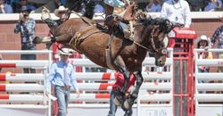 CS2018_Day4_0792 Cody DeMoss CS2018_Day4_0792 Cody DeMoss