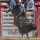 Calgary Stampede Rodeo Pool B action wraps with big rides and tie-breakers 