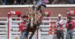CS2018_Wildcard_0722 Layton Green CS2018_Wildcard_0722 Layton Green