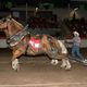Strategizing to the top – Yoder takes the heavy class in the Calgary Stampede’s Heavy Horse Pull