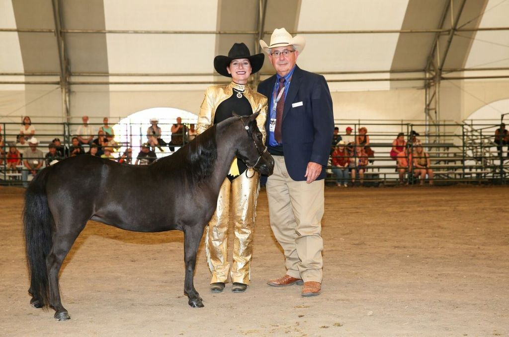 Supreme Halter Champion