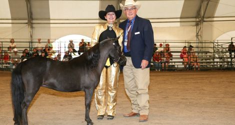 Supreme Halter Champion