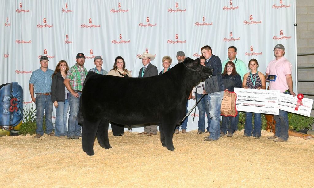 Steer Classic champion