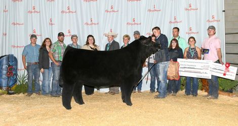 Steer Classic champion