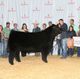 The Calgary Stampede announces the winners of the Junior Steer Classic 