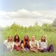 The Sheepdogs