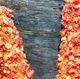 Flamin_Hot_Cheeto_Corndog