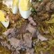 batchoy soup_1200x600