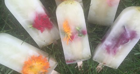 Edible Flower Ice Pop_1200x600