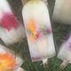 Edible Flower Ice Pop_1200x600