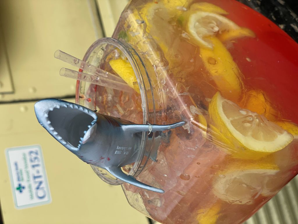 Shark Attack Lemonade_