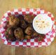 Louisiana Gator Bites