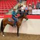 Cowgirls Dominate in 2021 Calgary Stampede Cowboy Up Challenge