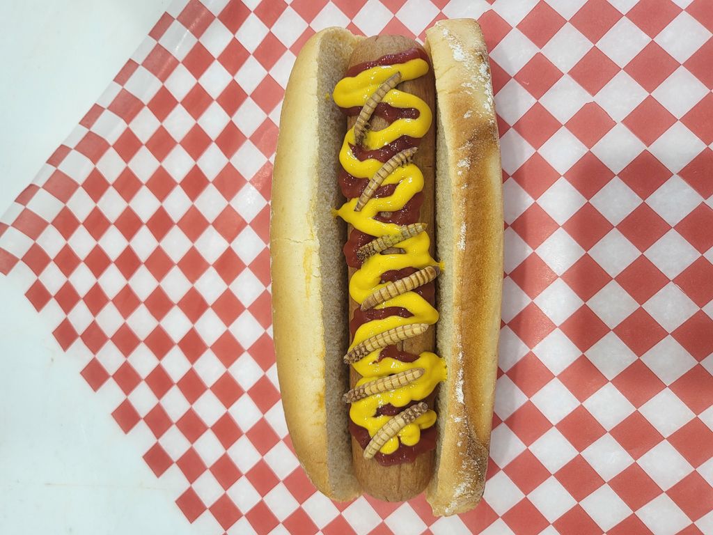 Meal Worm Hotdog
