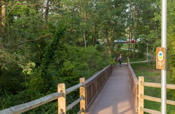 A bridge through protected wetlands at FM Global's corporate office park