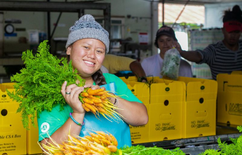A MA‘O Farms intern packs fresh carrots into the organization's Community-Supported Agriculture (CSA) farm boxes MAO