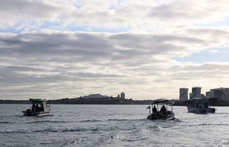 Sea Cleaners boats heading to the iconic Rangitoto Island summit. Boats