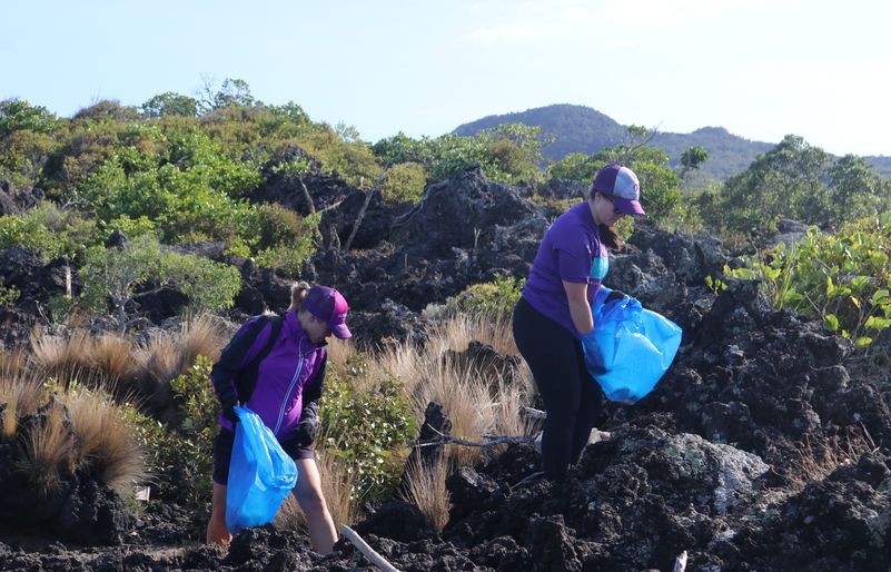 Team Kōkua volunteers make their way along the Rangitoto coast to remove trash from the rocky shoreline. Team Kōkua 1