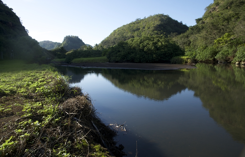 Waimea Valley is a peaceful destination filled with rich history and culture. _OBV2251