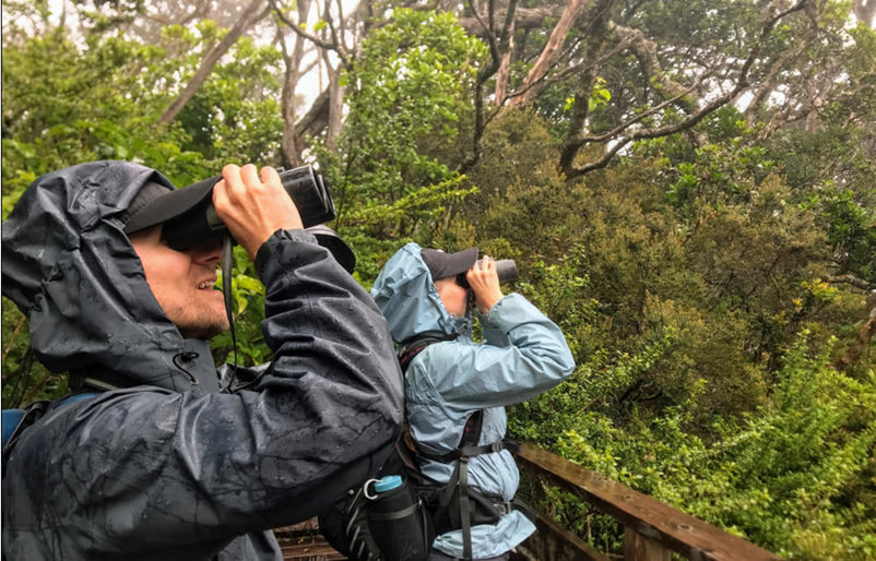 A pair of birders exploring the Waikamoi Preserve on Maui. Birders