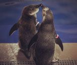 instagram1