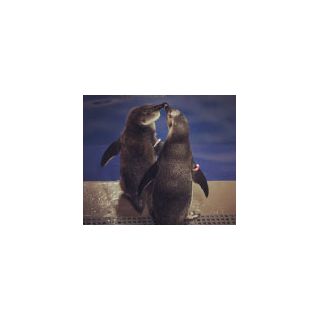 instagram1