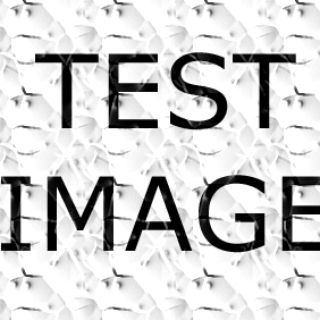 9f50538d_test