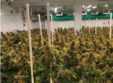 12,000 sq. ft., state-of-the-art extraction, processing and cultivation facility located in Vancouver