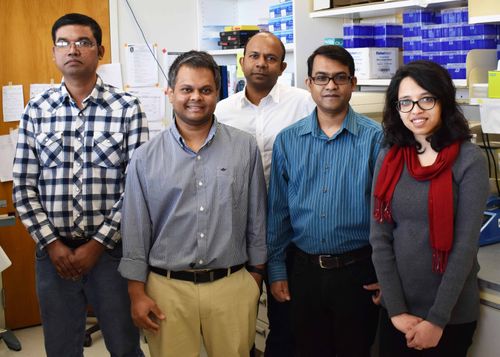 Left to right: Shafiul Alam, Ph.D.; Chowdhury S. Abdullah, Ph.D.; Mahboob Morshed, Ph.D.; Md. Shenuarin Bhuiyan, Ph.D.; and Richa Aishwarya, B.S.Laboratory staff, Department of pathology and translational pathobiologyLouisiana State University Health Scie