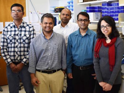 Left to right: Shafiul Alam, Ph.D.; Chowdhury S. Abdullah, Ph.D.; Mahboob Morshed, Ph.D.; Md. Shenuarin Bhuiyan, Ph.D.; and Richa Aishwarya, B.S.Laboratory staff, Department of pathology and translational pathobiologyLouisiana State University Health Scie