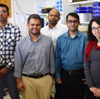 Left to right: Shafiul Alam, Ph.D.; Chowdhury S. Abdullah, Ph.D.; Mahboob Morshed, Ph.D.; Md. Shenuarin Bhuiyan, Ph.D.; and Richa Aishwarya, B.S.Laboratory staff, Department of pathology and translational pathobiologyLouisiana State University Health Scie