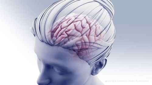 Brain illustration