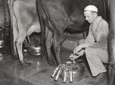Electric Inventions Make Farm Life Easier