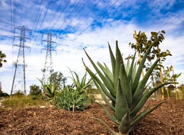 Huntington Beach Substation Receives Ocean Friendly Makeover