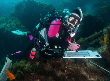 Volunteers Help Monitor Recovery of Storm-Battered Catalina Island Reef