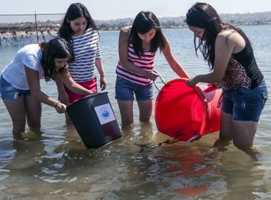 Students Raise, Release Sea Bass in Innovative STEM Program