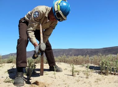 Conservation Corps Gives Military Vets a New Direction in Civilian Life